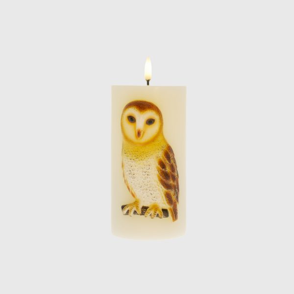 Embossed Barn Owl - Image 2