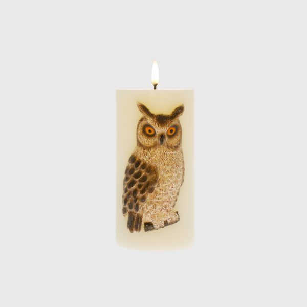 Embossed Great Horned Owl - Image 2