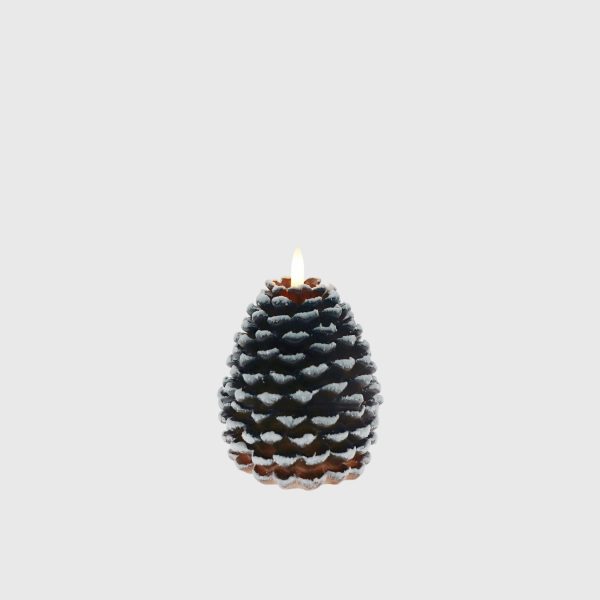 Brown & White Pine Cone - Image 2
