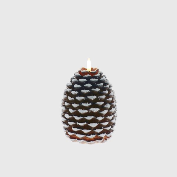 Brown & White Pine Cone - Image 3