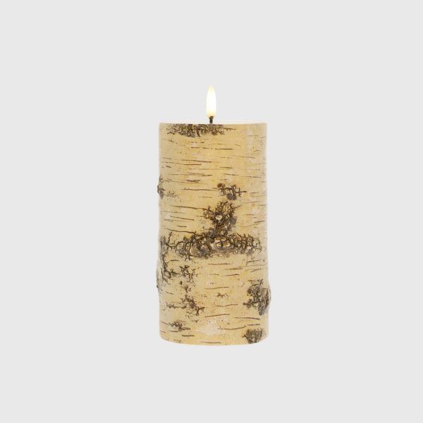 Tan Birch - Image 2