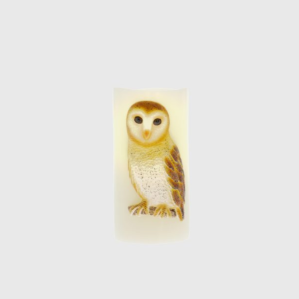 Embossed Barn Owl - Image 3