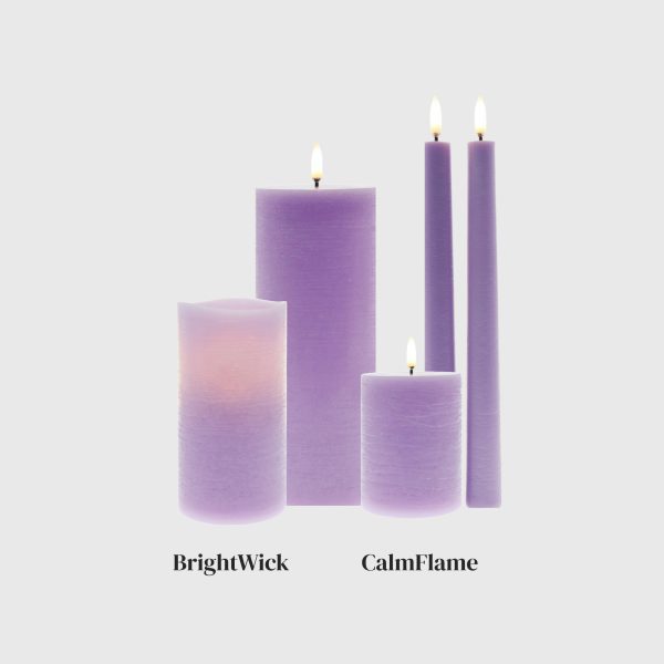 Purple Distressed