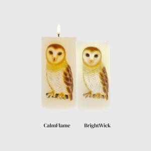 Embossed Barn Owl