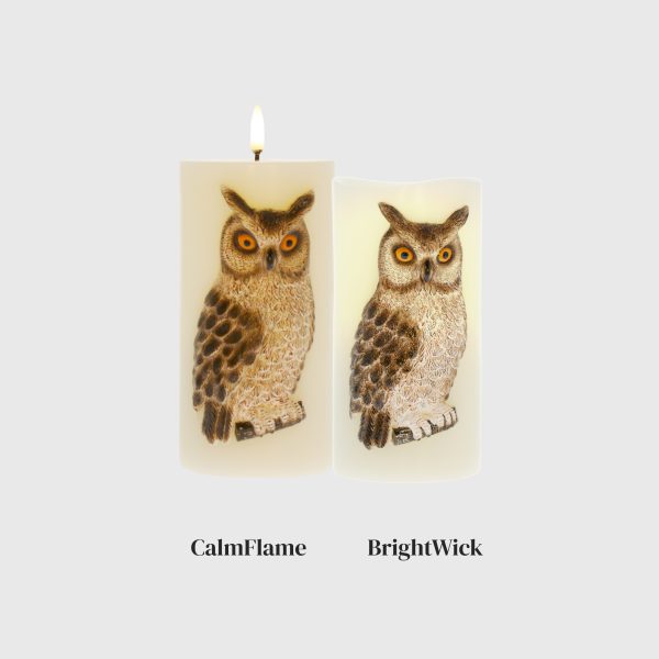 Embossed Great Horned Owl