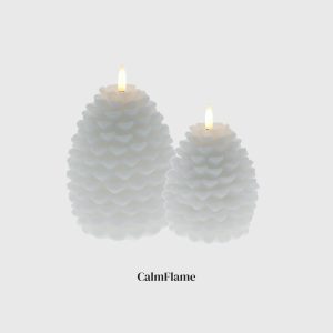 White Pine Cone