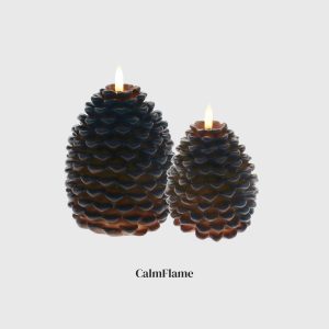 Brown Pine Cone