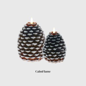 Brown & White Pine Cone