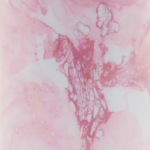 Ebru